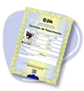 Certidão de Nascimento
